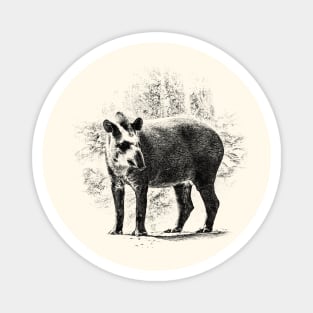 Tapir Magnet